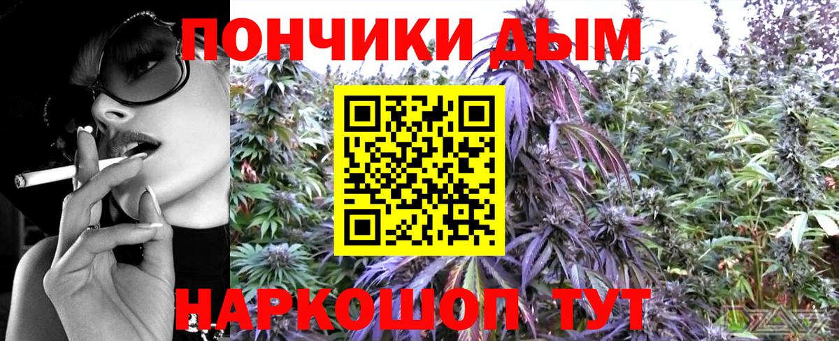 Канабис тримм  Бошки Шишки White Widow  Конопля Bruce Banner  Вход с VPN  Урус-Мартан 